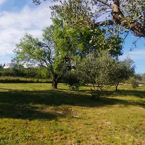 Camping S&m, Sveti Filip i Jakov